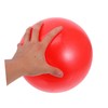 BIUDECO 2pcs PVC Pilates Ball for Strength Yoga Exercise Ball