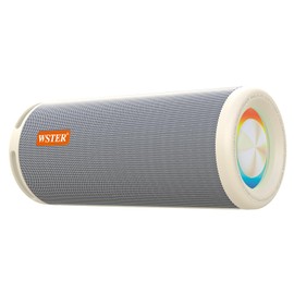 WSTER WS-810 Bluetooth Speaker with HD Sound, Portable Wireless, Output Power 40W*2, TWS Pairing, BT5.3, Supports FM and TF Input, for Home/Party/Outdoor/Beach.Gift Ideas. (White)