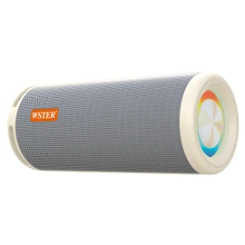 WSTER WS-810 Bluetooth Speaker with HD Sound, Portable Wireless, Output Power 40W*2, TWS Pairing, BT5.3, Supports FM and TF Input, for Home/Party/Outdoor/Beach.Gift Ideas. (White)