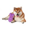 Peeps for Pets Bunny 6 Inch Purple Dress-Up Bunny Plush