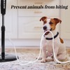 30ft Dog Cat Cord Protector Electric Wires Covers Wire Loom