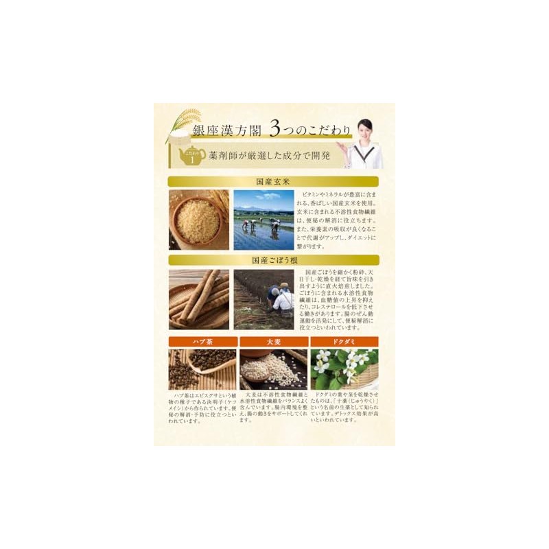 Nippon Medical System Mss*J Ginza Kanpokaku Toyono Brown Rice Burdock