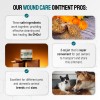 Silver Wound Care Ointment for Dog & Cat Skin Relief