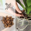 Kalapanta - Bark for orchids, substrate, bark for orchids, ideal