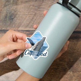Die Cut Sticker Cape Cod, Massachusetts, Humpback Whale, Contour Vinyl Sticker 3 to 6 inches, (Waterproof Decal for Cars, Water Bottles, Laptops, Coolers), Large