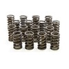 Isky Racing Cams 205-D Valve Spring