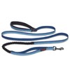 HALTI Active Leash - Award-Winning Bungee Dog Leash, Shock-Absorbing, All-in-One