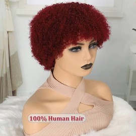 Afro Wigs for Women 100% Human Hair Soft and Fluffy Glueless Wigs 70s Kinky Curly Wig Cosplay or Daily Use - Color: Burgundy
