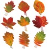 Zonon 90 Pcs Fall Maple Leaves Cutouts Classroom Bulletin Board