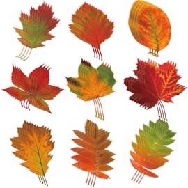 Zonon 90 Pcs Fall Maple Leaves Cutouts Classroom Bulletin Board Decor Autumn Real Gradient Maple Leaves Oak Leaf Shape Cutouts for Fall Autumn Thanksgiving Theme Party Decor Wall Chalkboard DIY Craft