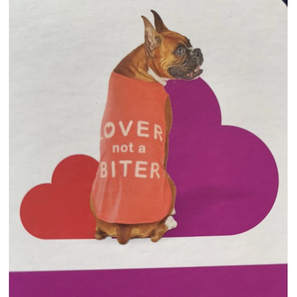 Boots & Barkley Lover Not A Biter Dog Vest Tank