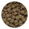 Hikari Sinking Wafers for Pets, 1.76-Ounce