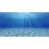 MIRRORANG 61x30cm Undersea Theme Aquarium Background Sunshine Underwater World Fish