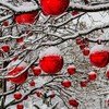 Annastore Christmas Baubles for Outdoor Use Frost-Proof and Weatherproof for