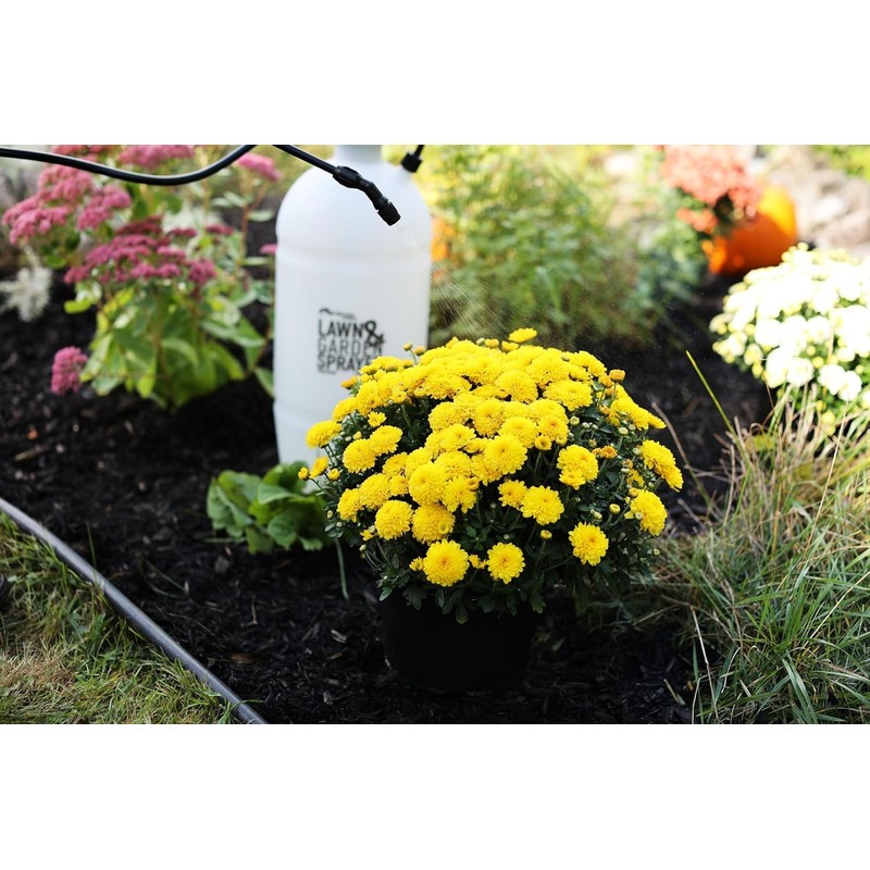 Flo-Master by Hudson 2 Gallon Lawn & Garden Sprayer