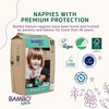 Bambo Nature Premium Eco Nappies, Eco-Labelled Sustainable Nappies, Enhanced Leakage