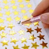 ASTER 2 Pcs Air Release Weeding Pen, Retractable Pin Pen