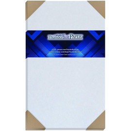 100 Light Blue Parchment 60# Text (=24# Bond) Paper Sheets - 8.5" X 14" (8.5X14 Inches) Legal|Menu Size - 60 lb/Pound is Not Card Weight - Vintage Colored Old Parchment Semblance