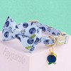 Faygarsle 2 Pack Blueberry Pattern Cat Collar Set with Bandana