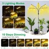 5-Head Adjustable LED Lights, Full Spectrum Grow Lamp with Timer,