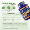 Zipvit Ashwagandha KSM 66 2000 mg with Vitamin B6, B5