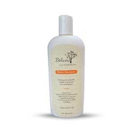 Shampoo Neem anticaida 350ml Tonico capilar ortiga 60ml