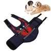 Pet Life Jacket Waterproof and High Buoyancy Lifesaver Vest with