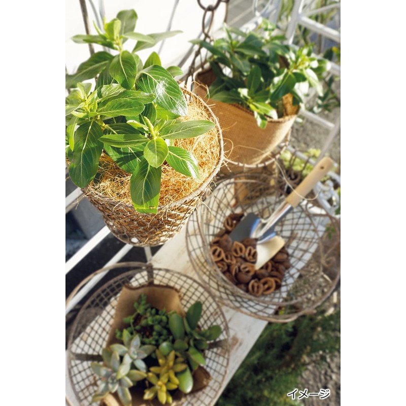 Posh Living 63424 Pot Cover Hanging Pot Cover M Size