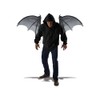 Articulated Black Wings
