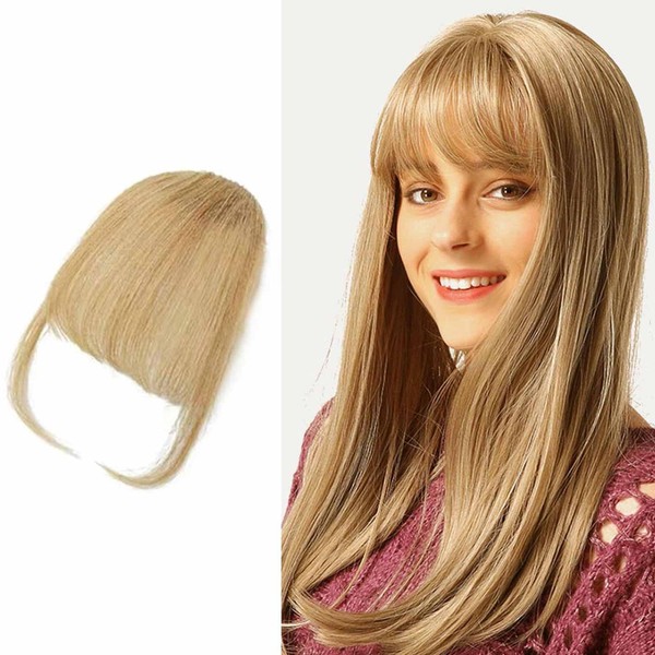 Clip in Bangs Human Hair Bangs Clip in Hair Extensions