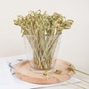 100Pcs Bamboo Cocktail Picks Toothpicks for Appetizers Natural Bamboo Knot