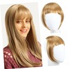 Baluue Clip in Wispy Bangs with Temples Lightweight Synthetic Hair