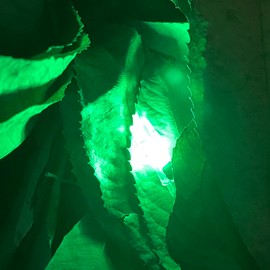 DEEPOWER X Lighted Nocks for Arrows .204”/.233”/.244”/.246” with ON/Off Switch with H, S, GT Bushings