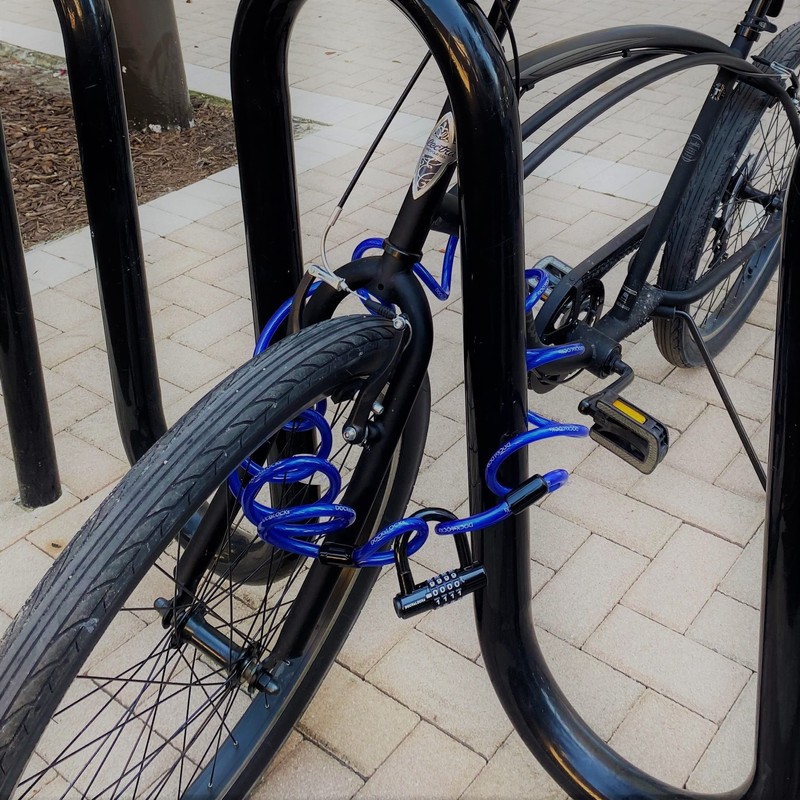 DocksLocks Weatherproof Coiled Security Cable (5ft to 25ft Lengths) with