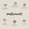 PALOSANTO - 7 Popular Sticks + Spiral Stick Holder -