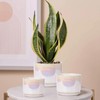 EFISPSS Plant Pots, 4+5+6 Inch Pots for Indoor Plants,Ceramic Planter