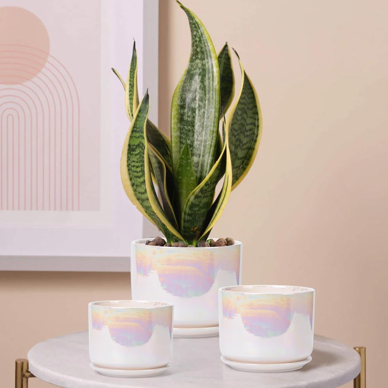 EFISPSS Plant Pots, 4+5+6 Inch Pots for Indoor Plants,Ceramic Planter