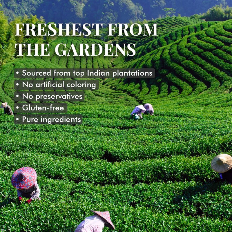 Strawberry Green Tea | India's Original Tea (50 cups) |