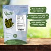 NUTS U.S. - Pumpkin Seeds (Pepitas) | Raw and Unsalted