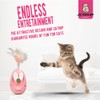 Stimulating Pink Catnip Tumbler for Cats with Feathers – Interactive