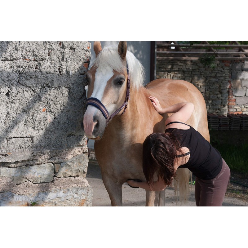 Intrepid International Magic Horse Brush, for Horse Grooming Kit w/Durable