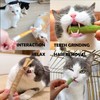 NSWXZDS 6Pcs Cat Toys Cats Grass Treat for Indoor Cat