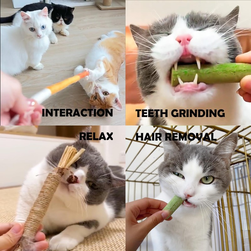 NSWXZDS 6Pcs Cat Toys Cats Grass Treat for Indoor Cat