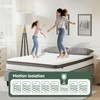 Z-hom Queen Mattresses, 10 Inch Queen Memory Foam and Spring
