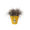 elho Loft Urban Round 20 - Flower Pot for Outdoor