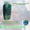 Ives Mexico - Ives Evolution Shampoo Bergamota Coco Hamamelis Romero
