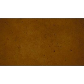 Concrete Resurrection Fast Drying Concrete Stain-Professi