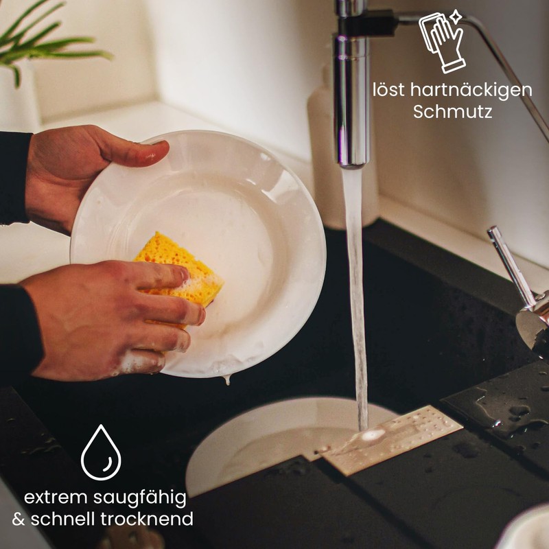 BiOHY Coconut Washing Up Sponge (Set of 3) | Sustainable