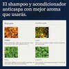 Champú y acondicionador anticaspa para hombres Alivio del cuero cabelludo