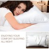 Satin Pillowcase, T Tersely 2 Pack 20"x 30" Silk Satin
